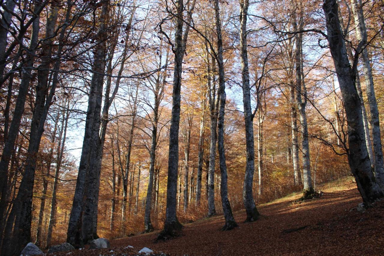 Apartamento La Casa Sulla Dolina Campoli Appennino Exterior foto